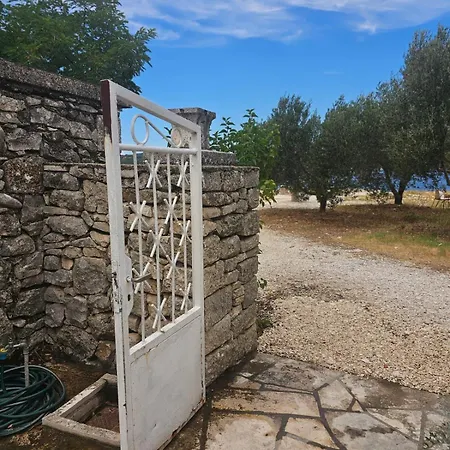 Kucija Vrnik * كورتْشولا